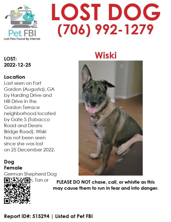 Fort Gordon Soldier Lost Dog - Wiski