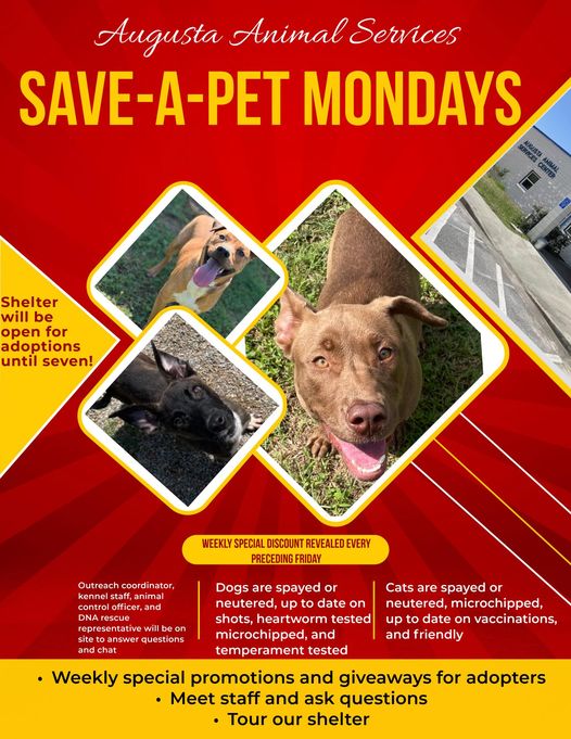 Save-A-Pet Mondays flyer